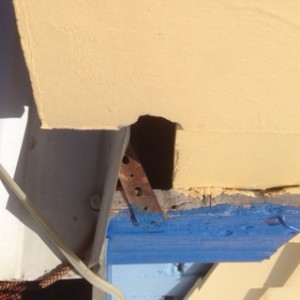 A hole for a possum to enter a roof