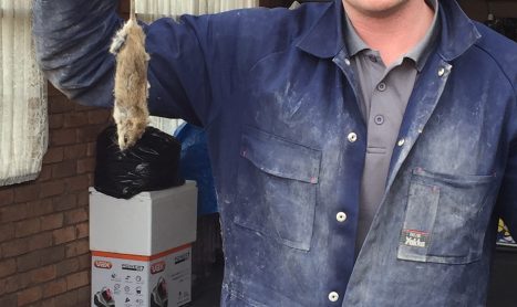 Pest Control Empire Find a dead rat
