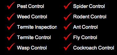 Melbourne Pest Control | Pest Control Empire