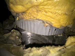 Rodent Damage to Duct