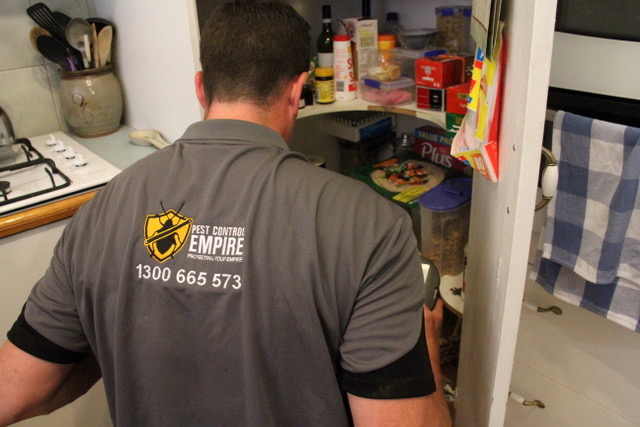 Pantry Inspection - Pest Control Empire Melbourne